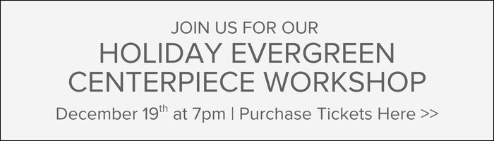 Join Us for our Holiday Evergreen Centerpiece Workshop | Dec 19th @ 7pm