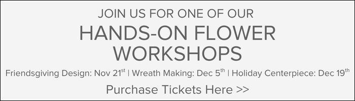 Join us for our Friendsgiving Friday Flower Class on November 21st at 7pm | Purchase Tickets Here: