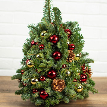 Christmas Trees