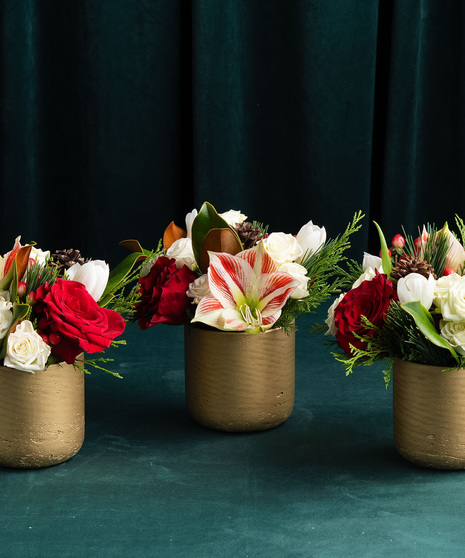 Season’s Greeting Trio