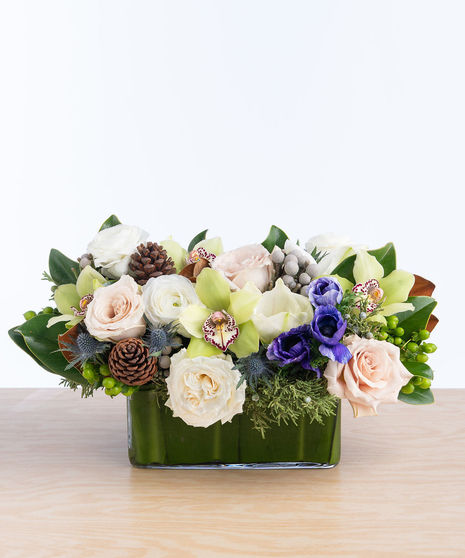 Central Park Serendipity