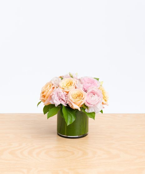 Grace in Bloom