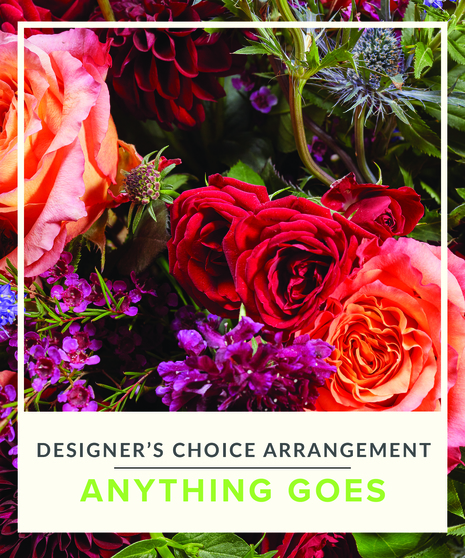 Designer's Choice Arrangement - Anything Goes