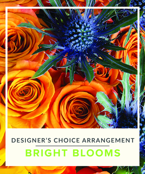 Designer's Choice - Bright Blooms