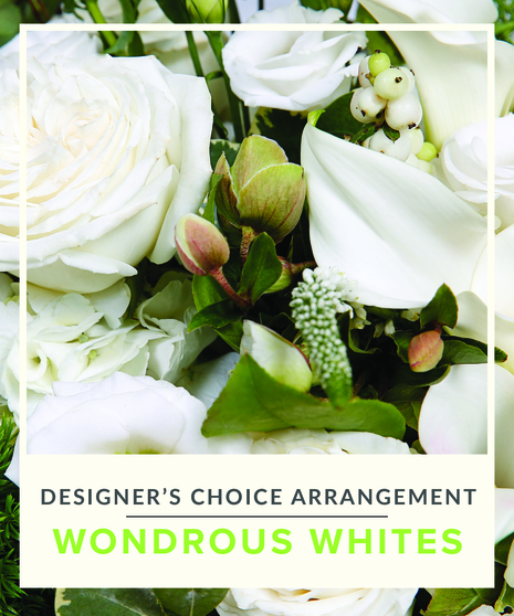 Designer's Choice - Wonderous White