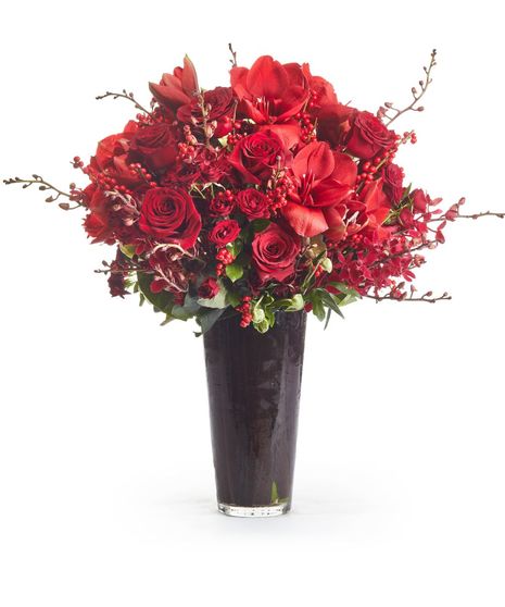 Leaf Lined Glass Cylinder with Red Roses + Amaryllis