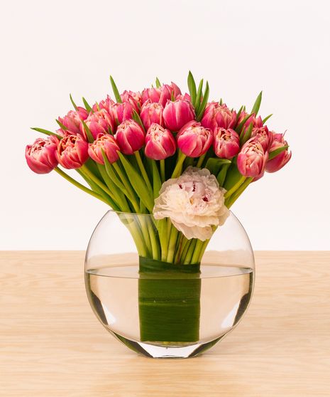 Peony Tulips