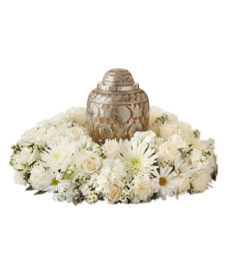 Purity