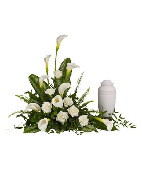 Stately Lilies