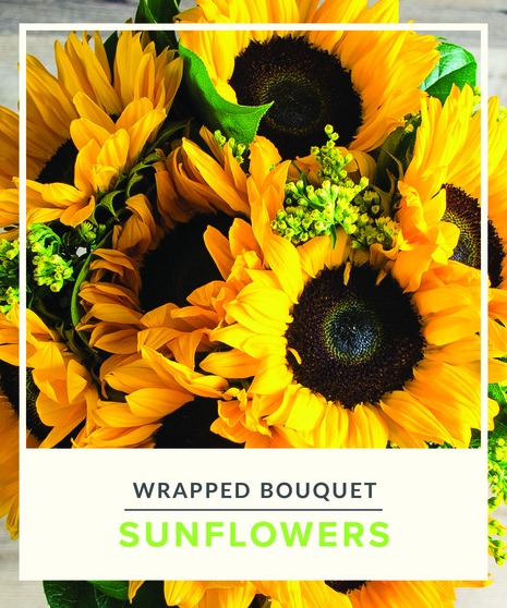 Sunflowers - Wrapped Bouquet