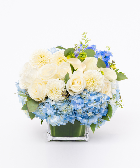 White Dahlia + Blue Hydrangea in Glass Cylinder