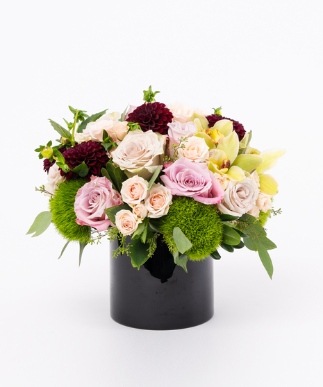 Burgundy Dahlia, Blush Roses, Green Orchids in Black Cylinder