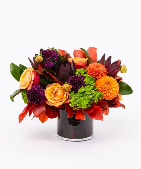 Dahlia + Roses in a Black Glass Cylinder