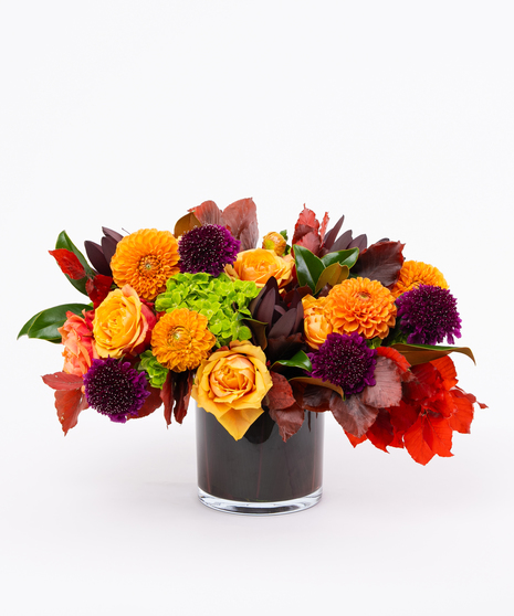 Dahlia + Roses in a Black Glass Cylinder