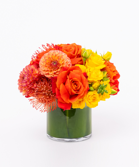 Low, Lush Roses, Dahlia, Protea - Leaf Lined Cylinder