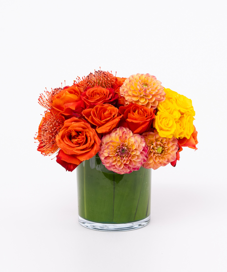 Low, Lush Roses, Dahlia, Protea - Leaf Lined Cylinder