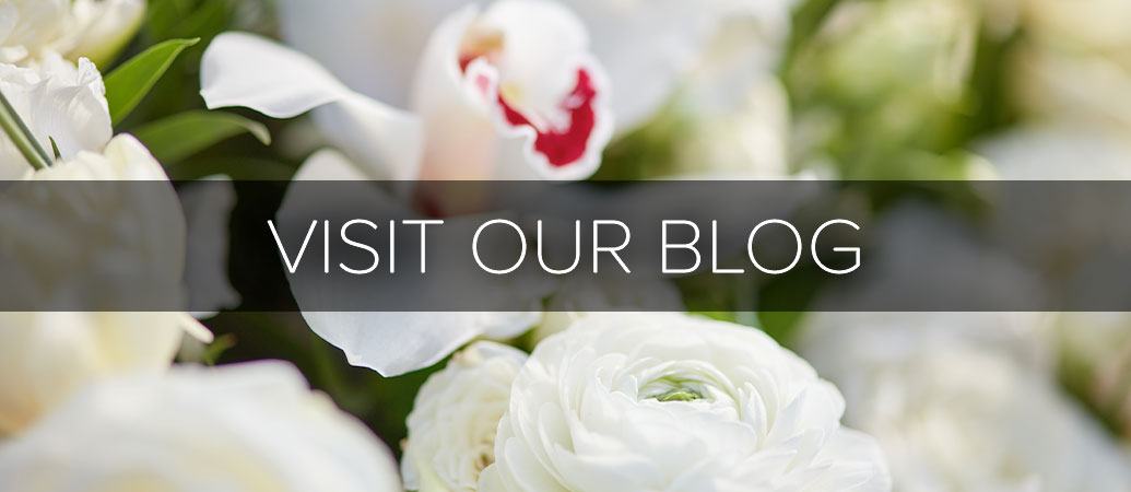 Visit Our Blog