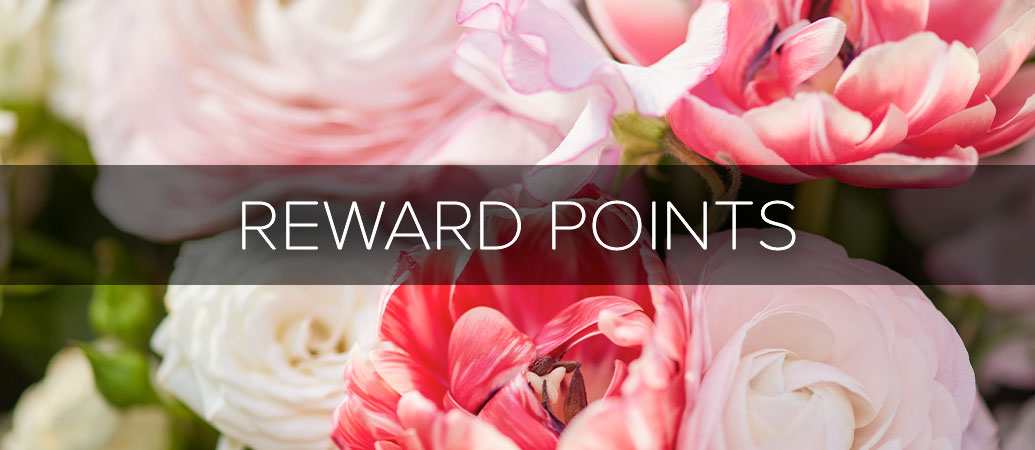 Reward Points
