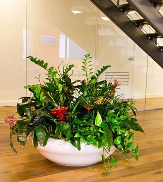 A large potted plant is housed beneath a staircase at a place of business